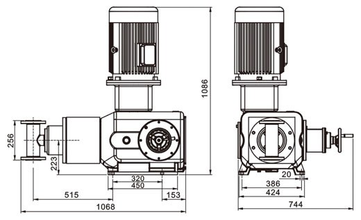进口LT系列柱塞式计量泵(图1)