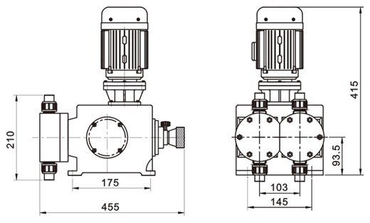 进口2LMX系列机械隔膜式计量泵(图1)